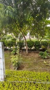 Image of 1055 Sq.ft 2 BHK Apartment / Flat for rent in Transport Nagar, Lucknow for Rs. 14500