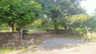 satyagrah chavani Plot View 2