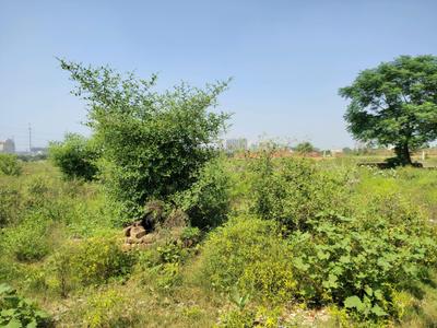 Image of 900 Sq.ft Residential Plot / Land for sale in Bhanauta, Greater Noida for Rs. 3501800