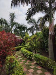 Image of 9800 Sq.ft 3 BHK Farm House for sale in Sikanderpur, Greater Noida for Rs. 8450000