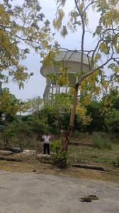 Image of 72 Sq.ft Residential Plot / Land for sale in Chandpur Bichpuri, Bareilly for Rs. 5500000