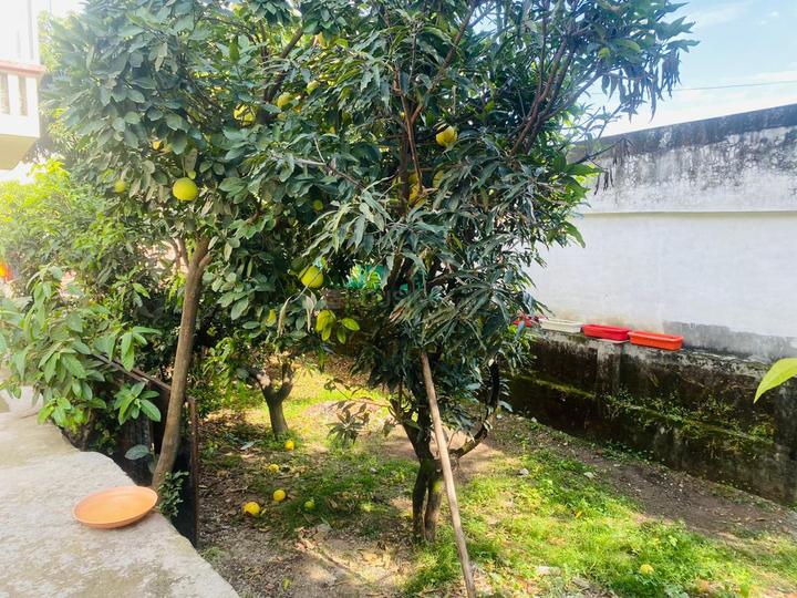 IAS Officers Colony, Rajpur Road More Images 1