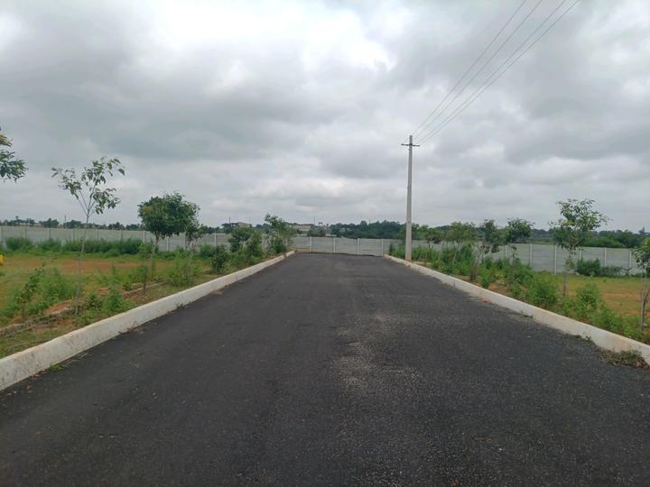Pashambanda Main Image 1