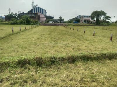 Residential Plot