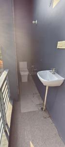 Bathroom Image of 1170 Sq.ft 2 BHK Builder Floor for rent in Prem Nagar Rohtak for Rs. 12000