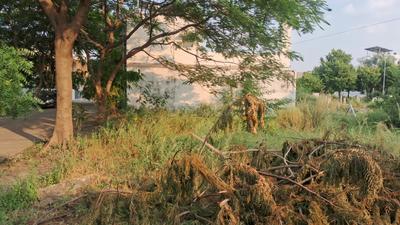 Image of 2200 Sq.ft Residential Plot / Land for sale in Satya Malwa County, Manglia, Indore for Rs. 13200000