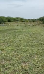 Image of 2468 Sq.ft Residential Plot / Land for sale in Adhanur, Chennai for Rs. 7000000