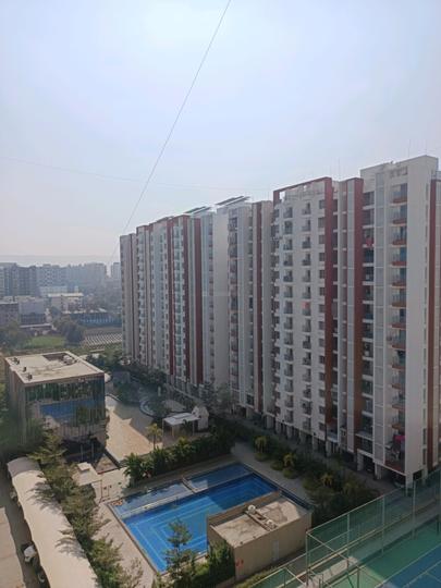 Majestique Rhythm County Main Image 1