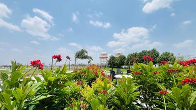 Image of 1100 Sq.ft Residential Plot / Land for sale in Rau, Indore for Rs. 3663000