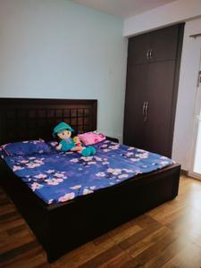 Bedroom Image of 1160 Sq.ft 2 BHK Apartment / Flat for rent in Arihant Arden, Noida Extension Greater Noida for Rs. 25000