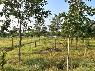 Image of 111 Sq.ft Residential Plot / Land for sale in Kothavalasa, Visakhapatnam for Rs. 666000