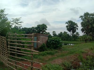 A P Nagar Plot View 1