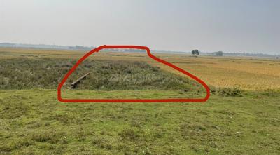 Balianta Plot View 2