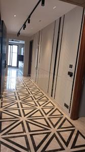 Hall Image of 2700 Sq.ft 4 BHK Builder Floor for rent in DLF Phase 1 Gurgaon for Rs. 135000