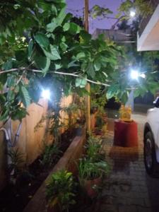 Balcony Image of 2400 Sq.ft 3 BHK Duplex for sale in Shenoy Nagar Chennai for Rs. 46000000