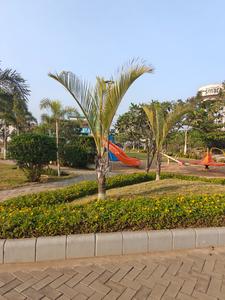 Image of 1250 Sq.ft Residential Plot / Land for sale in Avinash Smart City, Kandul, Raipur for Rs. 4375000