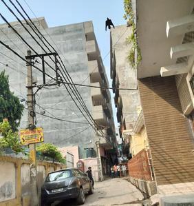 Image of SoomSoom in Sector 5, Noida