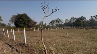 Image of 275 Sq.ft Residential Plot / Land for sale in Chandshi, Nashik for Rs. 8525000