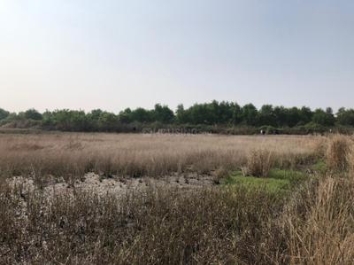 Image of 1089 Sq.ft Residential Plot / Land for sale in Uran, Navi Mumbai for Rs. 300000