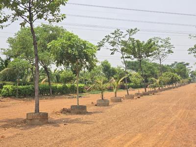 Image of 5000 Sq.ft Residential Plot / Land for sale in Amleshwar, Raipur for Rs. 2750000