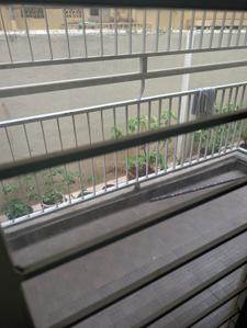 Balcony Image of 1525 Sq.ft 3 BHK Apartment / Flat for sale in Subiksha Courette, Marathahalli Bengaluru for Rs. 11500000