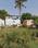 Housing Unit Phase - II Main Image 1