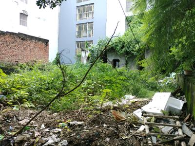 DDA Residential Plots Sector 17 Plot View 2