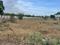 Senthampalayam Main Image 1
