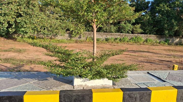 The Metro Tranquil Phase 2 Main Image 1