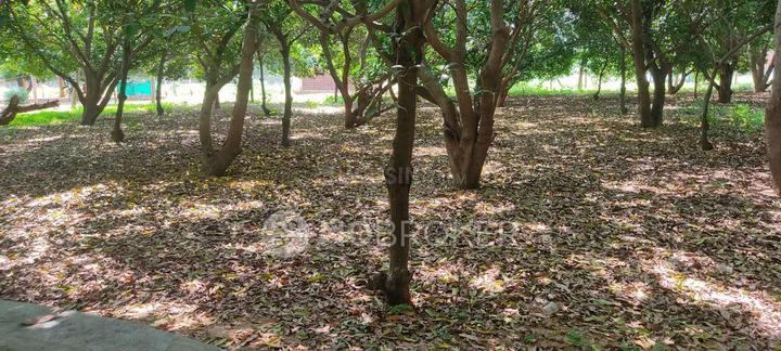 Alamathi Main Image 1