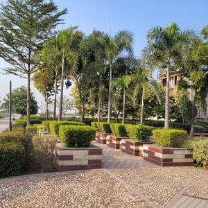 Image of 2010 Sq.ft 3 BHK Apartment / Flat for sale in Omaxe Cassia, New Chandigarh, Chandigarh for Rs. 23000000