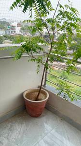 Balcony Image of 1000 Sq.ft 2 BHK Apartment / Flat for rent in Mansarovar Extension Jaipur for Rs. 25000