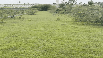 Shadnagar Plot View 3