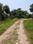 Natures Paradise Internal Roads 2