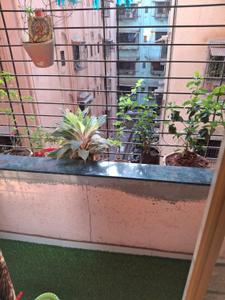 Balcony Image of 530 Sq.ft 1 BHK Apartment / Flat for sale in Ram Chandra Complex, Dombivli West Thane for Rs. 5300000