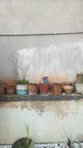 Balcony Image of 330 Sq.ft 2 BHK Independent House for sale in Chopasni Housing Board Jodhpur for Rs. 2900000