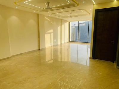 Hall Image of 2400 Sq.ft 3 BHK Builder Floor for sale in Sector 23 Gurgaon for Rs. 27500000