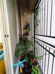 Balcony Image of 650 Sq.ft 1 BHK Apartment / Flat for sale in Peninsula Residency, Virar West Virar for Rs. 4800000