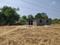 NOIDA SECTOR 142 Plot View 2