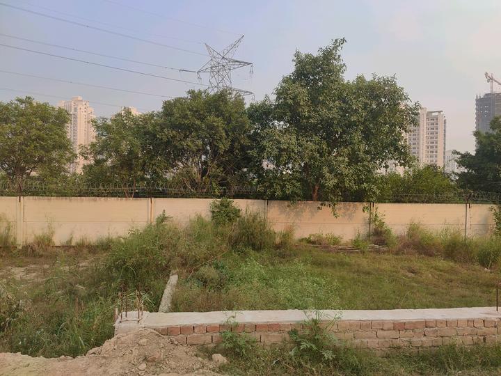 Sector 149 Main Image 1