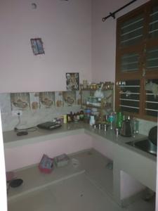 Kitchen Image of 700 Sq.ft 1 BHK Builder Floor for rent in Urban Estate Patiala for Rs. 5000