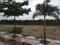 Eternity Plot View 1