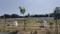 Reckons Hitech City Main Image 1
