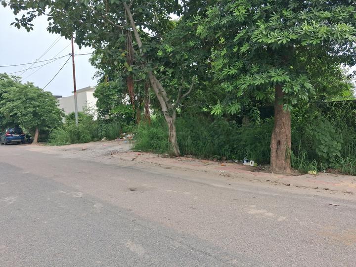sector 43 noida Main Image 1