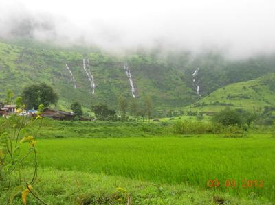 Image of 2043 Sq.ft Residential Plot / Land for sale in Trimbak, Nashik for Rs. 1400000