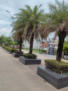 Image of 300 Sq.ft Residential Plot / Land for sale in Omaxe Phase 3 Mullanpur, New Chandigarh, Chandigarh for Rs. 35000000