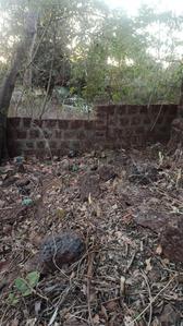 Image of 775 Sq.ft Residential Plot / Land for sale in Assonora, Goa for Rs. 15000000