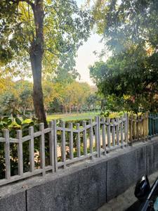 Baraula Plot View 1