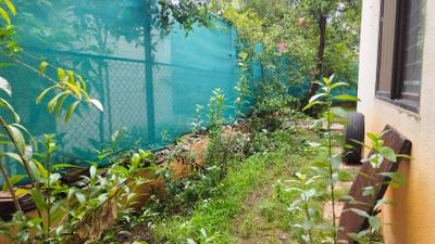Image of 2850 Sq.ft 4 BHK Villa for rent in Kolte Patil Life Republic Sector R2 2nd Avenue, Marunji, Pune for Rs. 63000