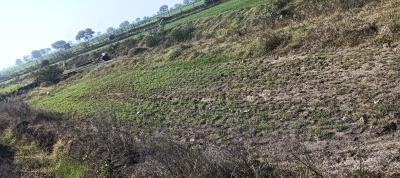 Image of 8500 Sq.ft Residential Plot / Land for sale in Railway Station Area, Kota for Rs. 3500000